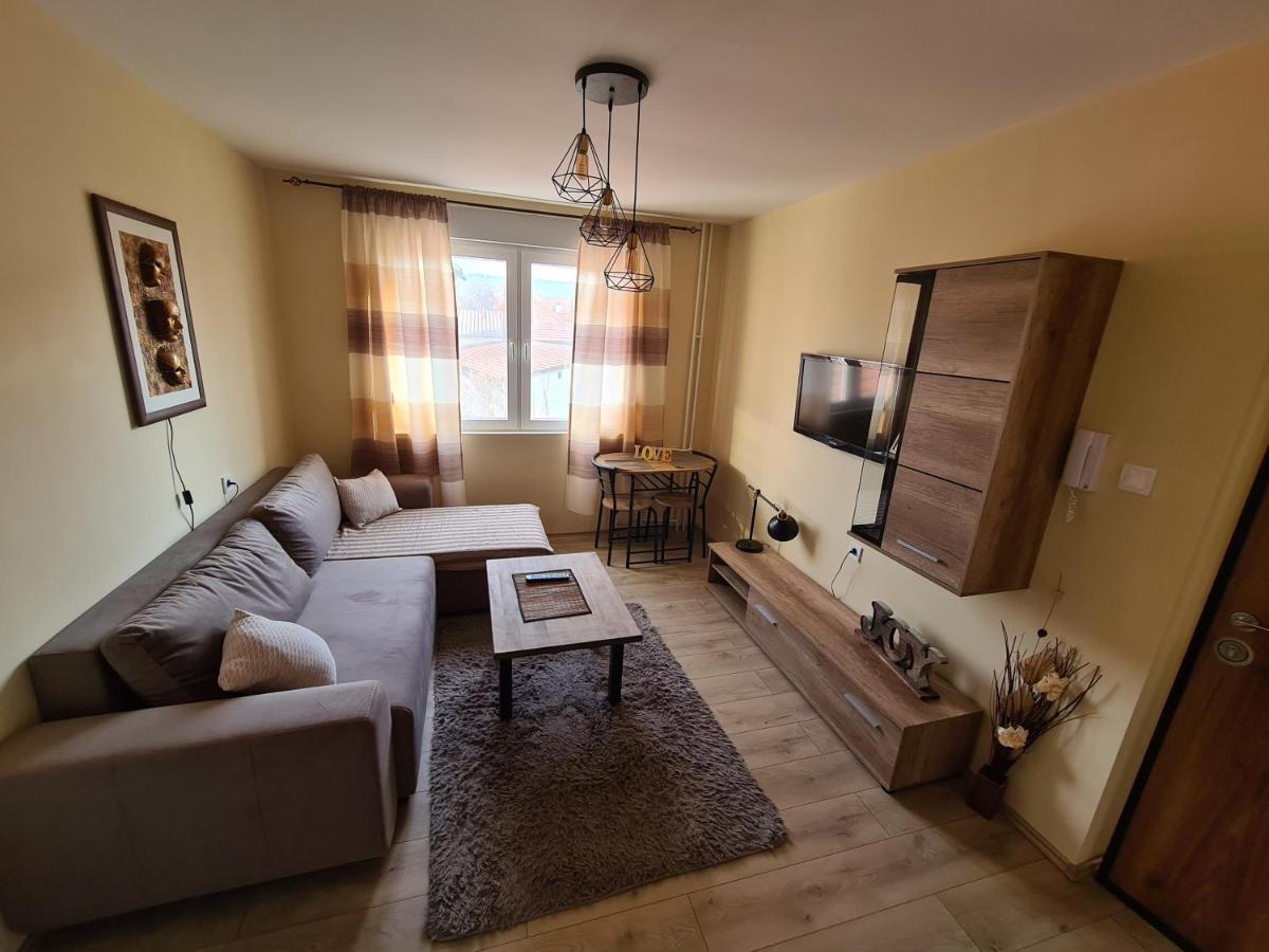 Grey & Sunny Apartments Zaječar Dış mekan fotoğraf